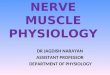 NERVE MUSCLE PHYSIOLOGY DR JAGDISH NARAYAN ASSISTANT PROFESSOR DEPARTMENT OF PHYSIOLOGY