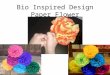 Bio Inspired Design Paper Flower. Main Lesson Objectives 1.Identify the common structures of a plant 2.Understand how these common plant elements function