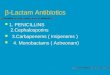 ’-Lactam Antibiotics 1. PENICILLINS 2.Cephalosporins 3.Carbapenems ( Imipenems ) 4. Monobactams ( Aztreonam)