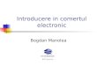 Introducere in comertul electronic Bogdan Manolea