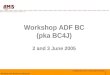 1 Workshop ADF Business Components Workshop ADF BC (pka BC4J) 2 and 3 June 2005