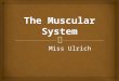 Miss Ulrich.   Muscle cells cannot partially contract. They act on the ‘all or none’ principle. They either contract 100% or do not contract at all