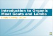 Introduction to Organic Meat Goats and Lambs Linda Coffey, NCAT