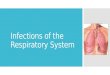 Infections of the Respiratory System. Why is this system important?  The respiratory system is the most commonly infected system  Health care providers