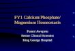 FY1 Calcium/Phosphate/ Magnesium Homeostasis Funmi Awopetu Senior Clinical Scientist King George Hospital