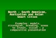 North - South American, Australian and Asian Smart Cities Examples: models, strategies, branding, areas to invest, vision - a comparative presentation