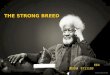EE4 黃任禎 9711103 THE STRONG BREED. Nigerian Writer Notable especially as a playwright and poet Awarded the 1986 Nobel Prize in Literature The first African