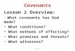 Covenants Lesson 2 Overview: What covenants has God made? What conditions? What methods of effecting? What promises and threats? What witnesses? 1Lesson