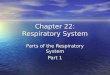 Chapter 22: Respiratory System Parts of the Respiratory System Part 1