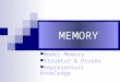MEMORY Model Memory Struktur & Proses Representasi Knowledge