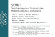 Http://scmd.gi.k.u-tokyo.ac.jp/ 1 SCMD: Saccharomyces Cerevisiae Morphological Database Taro L. Saito 1,2, Miwaka Ohtani 1,2, Hiroshi Sawai 2, Fumi Sano