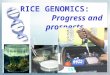 RICE GENOMICS: Progress and prospects. What is genomics?  The genome of a plant, animal or microbe is the totality of its genetic information including