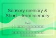 1 Sensory memory & Short – term memory Part I พ. ญ. กาญจนา พิทักษ์วัฒนานนท์ อายุรแพทย์เฉพาะทางระบบประสาท สมอง