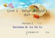 Unit 2 What should I do? Period 1 Section A: 1a 1b 1c 正安县建政中学 陈光玉