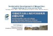 Sustainable Development of Megacities: A Mega-Challenge for China and the World Tuesday, May 8, 2012 – ICM, International Congress Center, Munich, Room