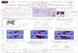 Colloque de Veille Stratégique, Scientifique et Technologique 23-25 Octobre 2013 à Nancy Patents Analysis of induced Pluripotent Stem Cells (iPSC) Marine