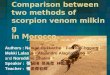 Comparison between two methods of scorpion venom milking in Morocco. Authors : Naoual Oukkache1, Fatima Chgoury1, 1 Mekki Lalaoui1, Alejandro Alagón Cano212