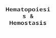 Hematopoiesis & Hemostasis. (1) Hematopoiesis Blood Cell Formation Occurs in Red Bone Marrow Cell Development: Hemocytoblast (original stem cell) Lymphoid