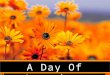 A Day Of Surprises. “A Day Of Surprises” JESUS THROUGH THE EYES OF JOHN 1 The Pharisees heard that Jesus was gaining and baptizing more disciples than