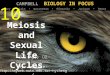 CAMPBELL BIOLOGY IN FOCUS Urry Cain Wasserman Minorsky Jackson Reece Meiosis and Sexual Life Cycles 鄭先祐 (Ayo) 教授 國立臺南大學 生態科學與技術學系 Ayo website: