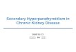 Secondary Hyperparathyroidism in Chronic Kidney Disease 2009/11/13 신장내과 R3 이완수