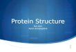  Protein Structure Fall 2011 Aaron Zampaglione. Protein Fold Rossmann Fold