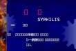 梅 毒 SYPHILIS 一 定义 梅毒 是由苍白螺旋体通过性传播所引起 的一种全身各系统损害性的慢性传 染病。