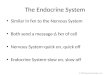 The Endocrine System Similar in fxn to the Nervous System Both send a message-Δ fxn of cell Nervous System-quick on, quick off Endocrine System-slow on,