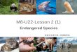 M8-U22-Lesson 2 (1) Endangered Species 寿县安丰高中高二英语教研组
