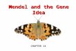 Mendel and the Gene Idea CHAPTER 14. What genetic principles account for the transmission of traits from parents to offspring?