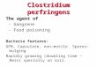 Clostridium perfringens The agent of - Gangrene - Food poisoning Bacteria features: GPB, Capsulate, non-motile. Spores: bulging Rapidly growing (doubling