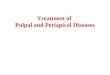 Treatment of Pulpal and Periapical Diseases. 1. Case Selection and Treatment Planning 病例选择与治疗计划 Pathways of the pulp, 8 th edition