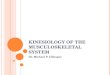 KINESIOLOGY OF THE MUSCULOSKELETAL SYSTEM Dr. Michael P. Gillespie