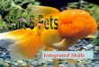 Integrated Skills 学习目标 1. 知识目标 : 重点单词 : weigh, talk, noise 重点短语 : put…in the sun, pick them up with your hands, once a day, grow up to be…, weigh