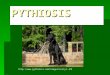 PYTHIOSIS http://www.pythiosis.com/images/rusty1.JPG
