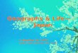 Geography & Life— Japan By Jinghua Ye ( 叶靖华 ) Jenks Public Schools, OK, 74137