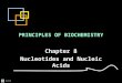 ­‍›¸±€ PRINCIPLES OF BIOCHEMISTRY Chapter 8 Nucleotides and Nucleic Acids