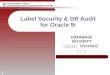 1 Label Security & DB Audit for Oracle 9i DATABASE SECURITY 정보보호학과 032ISI01 김 정 수