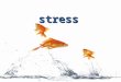 Stress. Mortality pattern General adaptation syndrom استرس مجموعه ای از واکنشهای فیزیولوژیک که بوسیله آن حیوان تلاش می کند