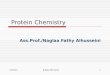 11/18/2015Naglaa Alhusseini1 Protein Chemistry Ass.Prof./Naglaa Fathy Alhusseini
