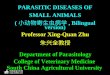 PARASITIC DISEASES OF SMALL ANIMALS ( 小动物寄生虫病学, Bilingual version) Professor Xing-Quan Zhu 朱兴全教授 Department of Parasitology College of Veterinary Medicine