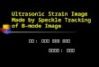 Ultrasonic Strain Image Made by Speckle Tracking of B-mode Image 學生 : 呂仁碩 李承諺 葉文俊 指導教授 : 李百祺
