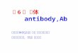 第 6 章 抗体 antibody,Ab 抗原与抗体是天生的一对，谁也离不了谁； 两者既是好朋友，又是一对冤家。