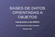 BASES DE DATOS ORIENTADAS A OBJETOS Introducción a las BDOO Administración de Bases de Datos Roberto Piris