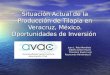 Situación Actual de la Producción de Tilapia en Veracruz, México. Oportunidades de Inversión Juan L. Reta Mendiola Alberto Asiain Hoyos Francisco Javier