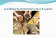 La Soberanía Alimentaria en el Ecuador. SOBERANIA ALIMENTARIA. Es el derecho de los pueblos a definir sus propias políticas y estrategias sustentables