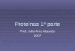 1 Proteínas 1ª parte Prof. Julio Amy Macedo 2007