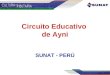 Circuito Educativo de Ayni SUNAT - PERÚ. ¿Quién es Ayni? El Proceso de creación…