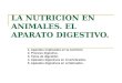 LA NUTRICION EN ANIMALES. EL APARATO DIGESTIVO. 1. Aparatos implicados en la nutrición. 2. Proceso digestivo. 3. Tipos de digestión. 4. Aparatos digestivos