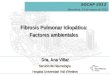 Dra. Ana Villar Servicio de Neumología Hospital Universitari Vall d’Hebron Fibrosis Pulmonar Idiopática: Factores ambientales SOCAP 2012 Barcelona, 23